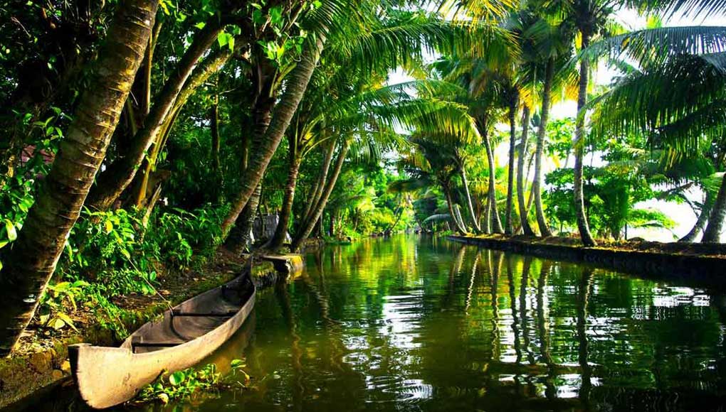 The Kerala Backwaters Where Is Sheldon